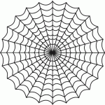 spiders_web spiders_web