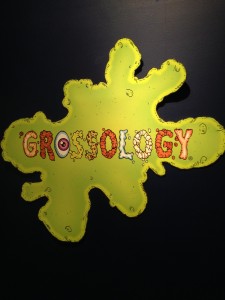 Grossology